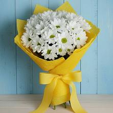 Букет цветов из:  Хризантемы в Посёлок санатория «Подмосковье»