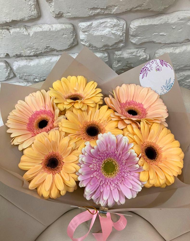 Букет цветов из: Герберы в Посёлок санатория «Подмосковье»