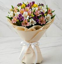 Букет цветов из:  Альстромерии в Посёлок санатория «Подмосковье»