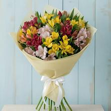 Букет цветов из:  Альстромерии #REPLACE_PRED# Посёлок санатория «Подмосковье»