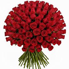 Букет Красные розы Чери Лав в Посёлок санатория «Подмосковье»